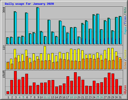 Daily usage for January 2020