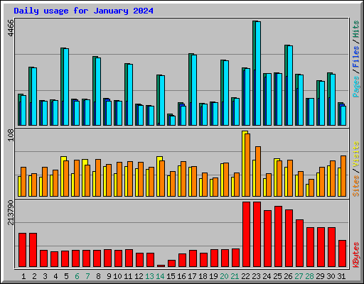 Daily usage for January 2024