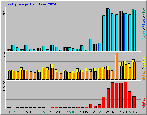 Daily usage for June 2024