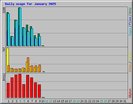 Daily usage for January 2025