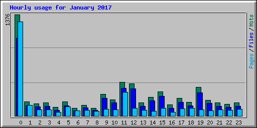 Hourly usage for January 2017