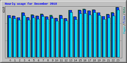 Hourly usage for December 2018