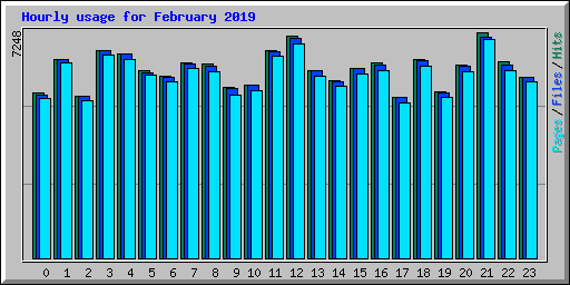 Hourly usage for February 2019