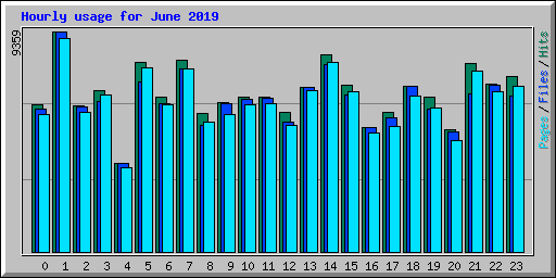 Hourly usage for June 2019