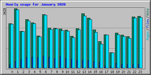 Hourly usage for January 2020