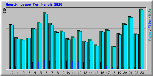 Hourly usage for March 2020