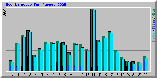 Hourly usage for August 2020