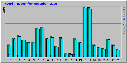 Hourly usage for November 2020