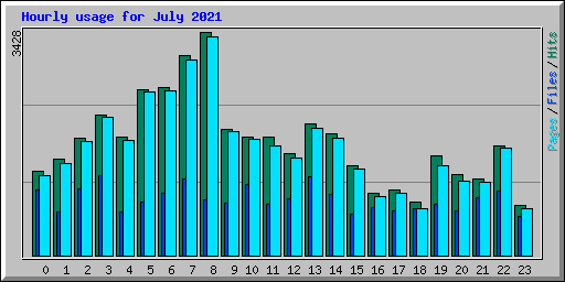 Hourly usage for July 2021