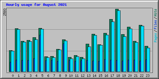 Hourly usage for August 2021