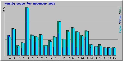 Hourly usage for November 2021