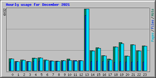 Hourly usage for December 2021