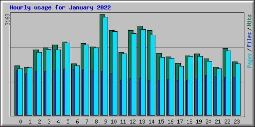 Hourly usage for January 2022