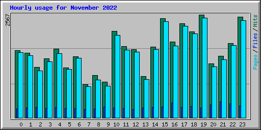 Hourly usage for November 2022