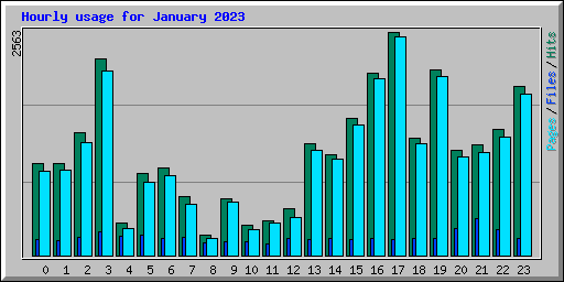 Hourly usage for January 2023