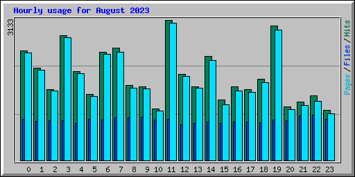 Hourly usage for August 2023