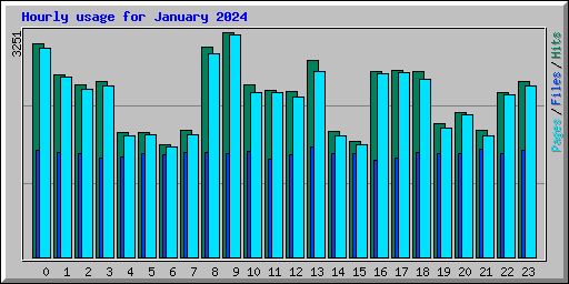 Hourly usage for January 2024