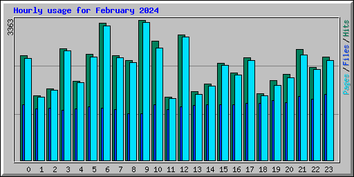 Hourly usage for February 2024