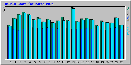 Hourly usage for March 2024