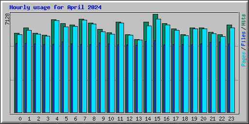 Hourly usage for April 2024