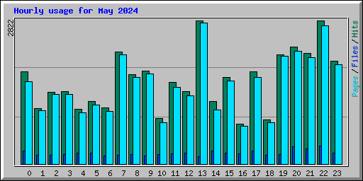 Hourly usage for May 2024