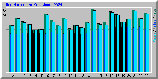 Hourly usage for June 2024