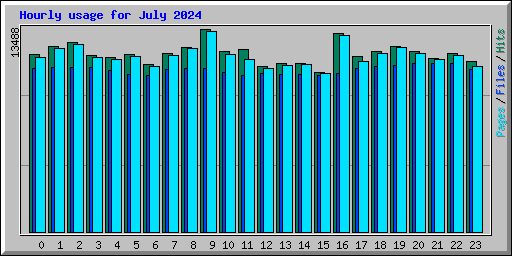 Hourly usage for July 2024