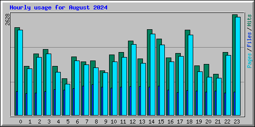 Hourly usage for August 2024