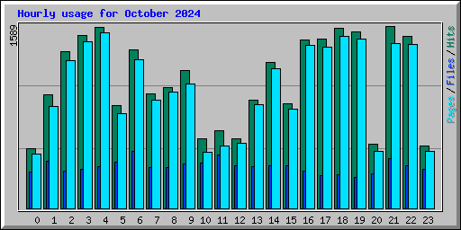 Hourly usage for October 2024