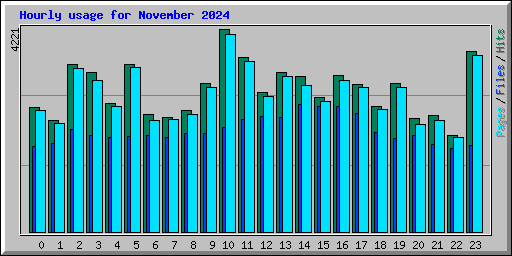 Hourly usage for November 2024