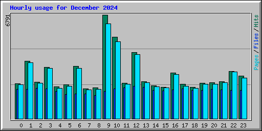 Hourly usage for December 2024