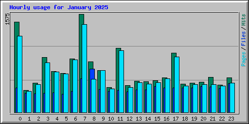 Hourly usage for January 2025