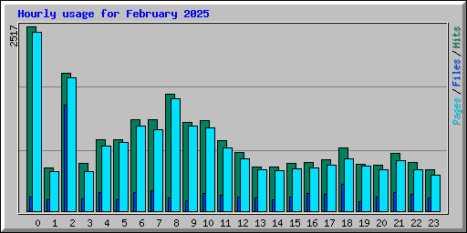 Hourly usage for February 2025